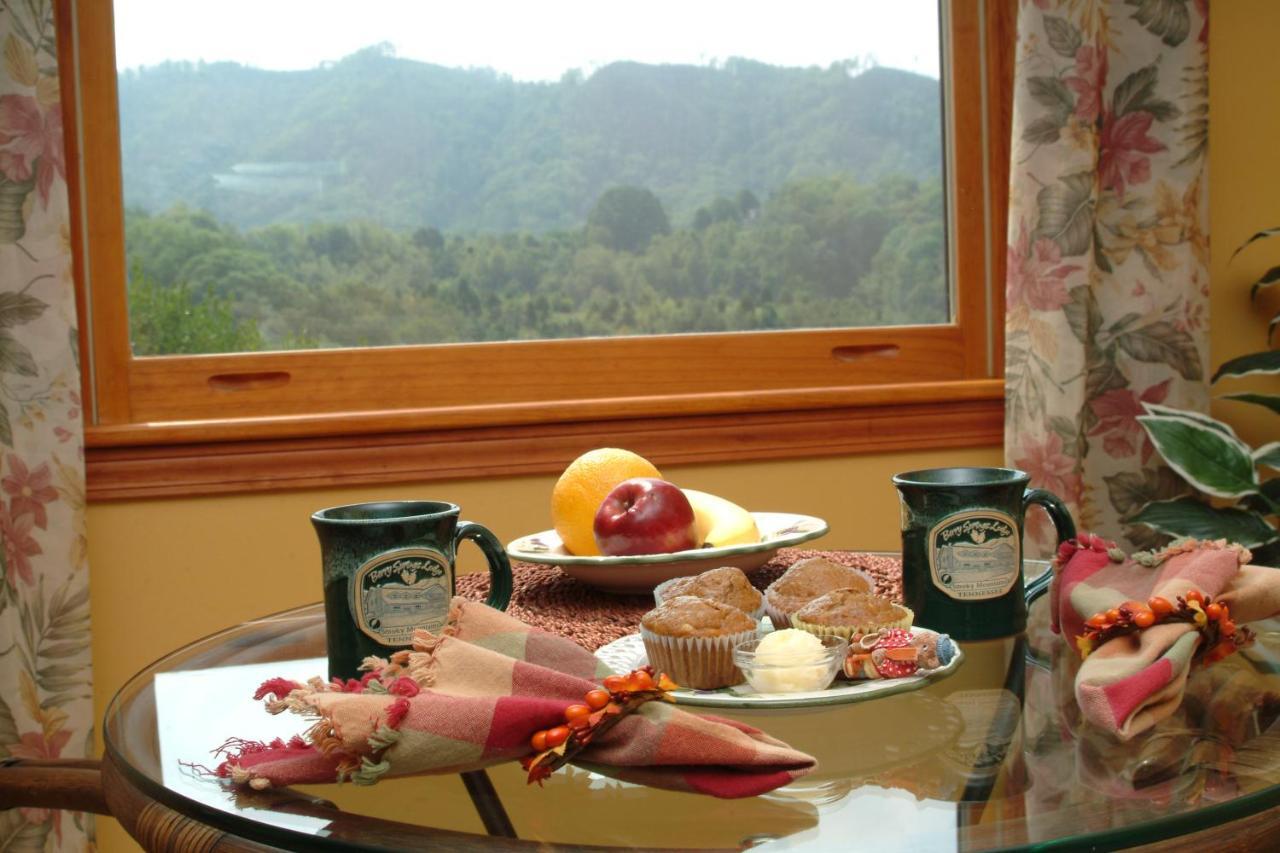 Berry Springs Lodge Sevierville Bagian luar foto